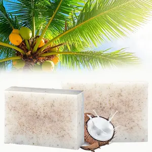100g Coconut Handmade Multifunctional Soap, Gentle Cleansing & Deep Moisturizing, Alcohol-Free, Suitable for All Skin Types, Bath & Face Wash