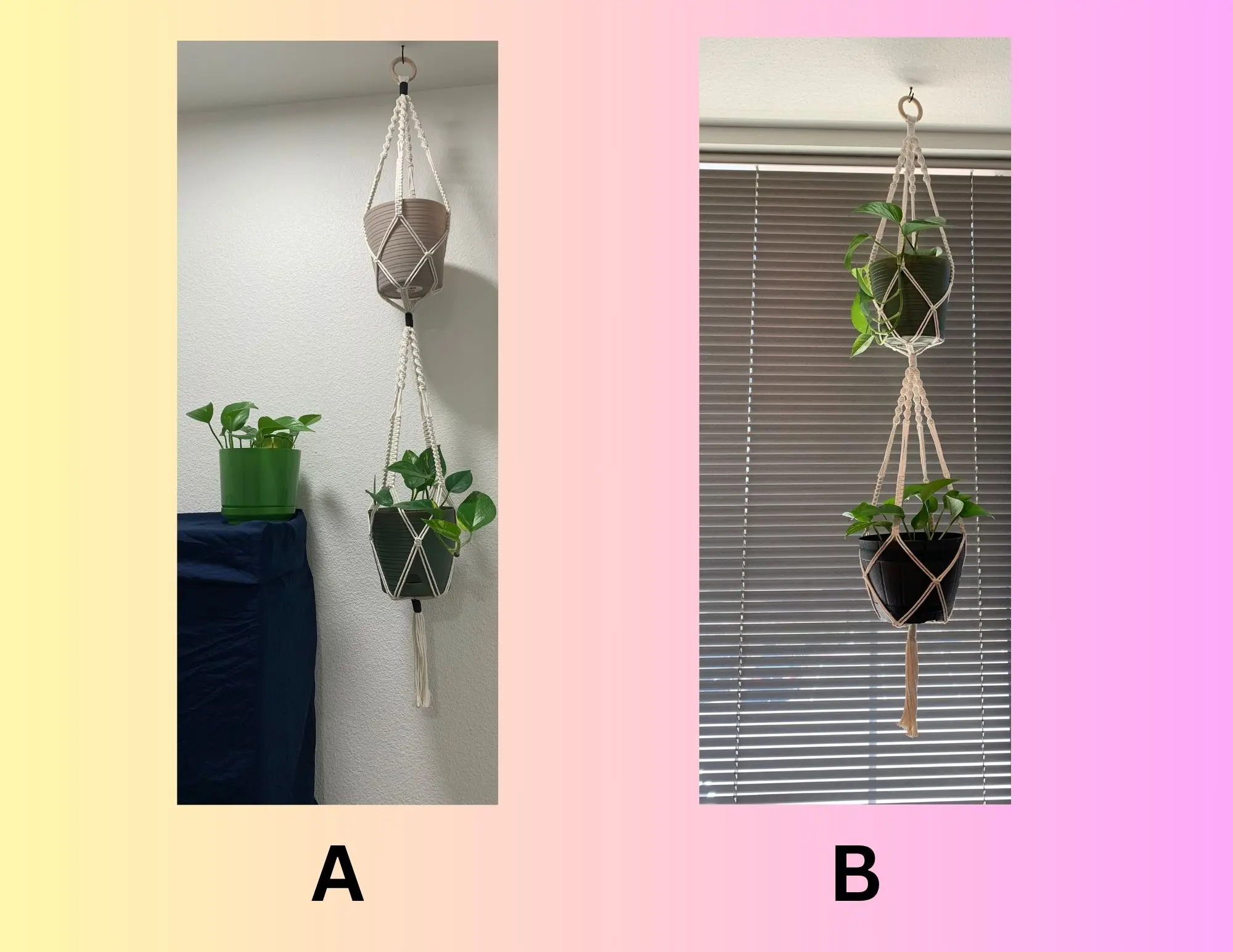 Macrame Double Plant Hanger Handmade Hanging Macrame Planter Double Planter  for Home Decor Options A & B - TikTok Shop