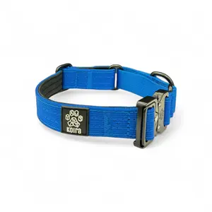 Blue Koira Martingale Dog Collar – Essential Line