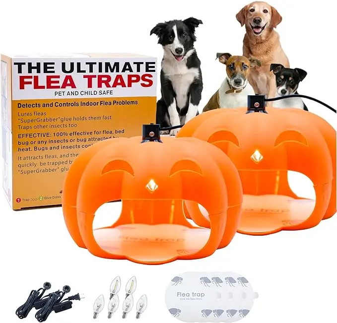 Flea Traps for Inside Your Home, Flea Killer Trap Indoor Natural Safe Pest Control Trapper House Sticky Insect Killer with Light & Switch, Bed Bug Trap Safe for Kid & Pet, 2 Packs Pumpkin