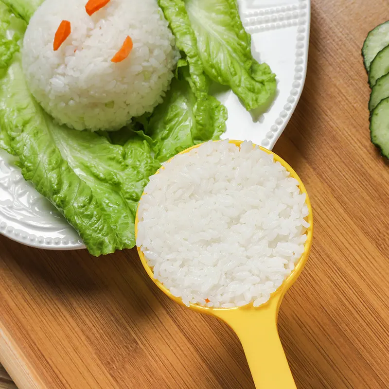 Non-Stick Plastic Half Round Onigiri Mold, DIY Bento Box Mould, Kitchen Cooking Tool, Home Use, Rice Shaper Spoon