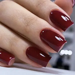 32Pcs 16 Sizes Press on Nails, Dark Red Short Square Fake Nails, Reusable Nail Kit with Nail Glue Adhesive Tabs Mini Nail File, Nails Press Ons