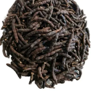 Selim Pepper, Kanifi