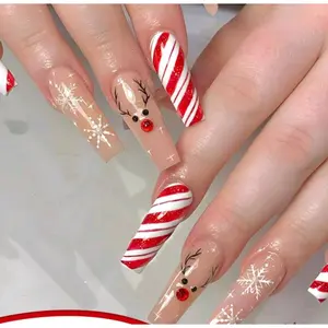 Candy Cane, Snowflakes And Reindeer Designs Press On Nails