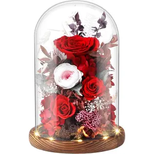 Eternal Rose Rose Red Flower Preserved Long Lasting  Color  Material Symbol of Everlasting Love for Wife Mothers Select Anniversary Rose  Birthday Present Christmas