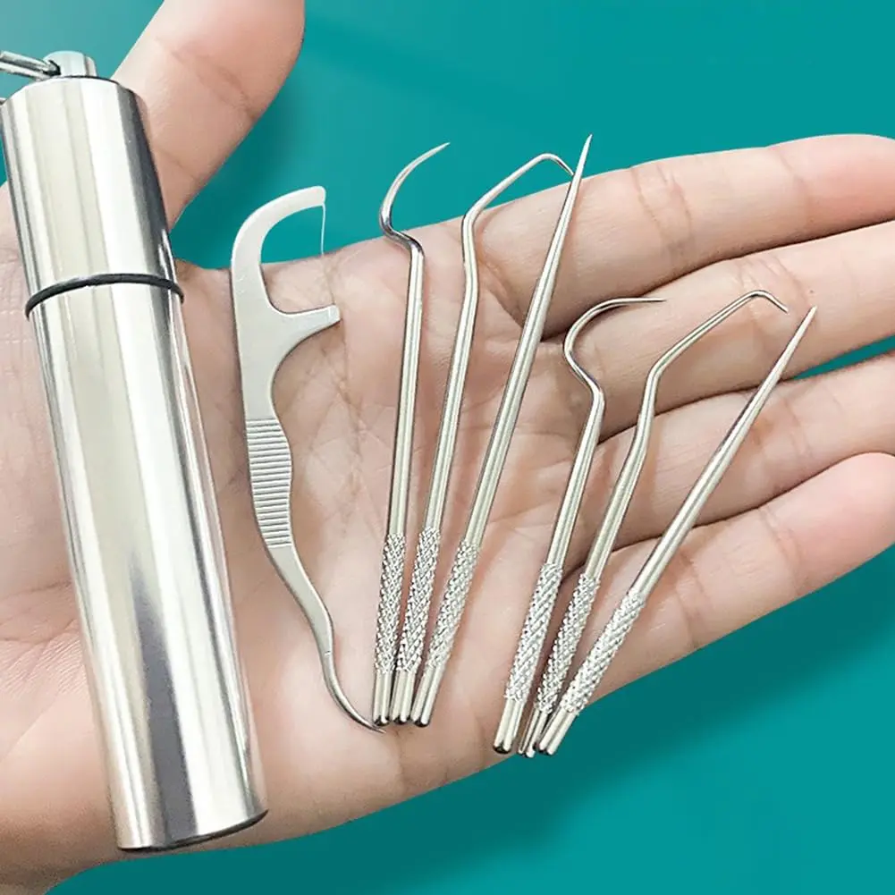 Stainless Steel Toothpick Pocket Set, Reusable Dental Floss Pick, Travel Teeth Cleaning Tools Kit for Outdoor Picnic, Camping, Keychain Design, Oral Care Tool