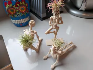 Yoga Skeleton Air Plant Holder, Meditating Skull Planters, Gothic Boho Decor