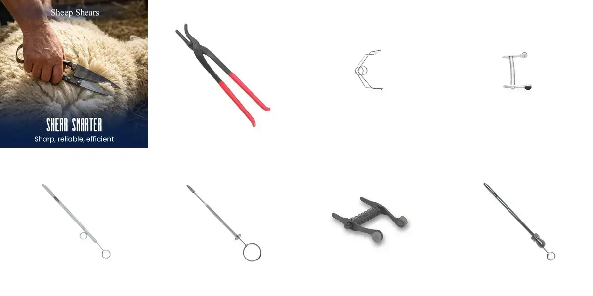 background preload poster image 