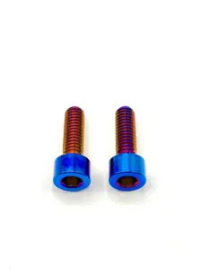 Titanium E-Moto Brake Caliper Bolts - Surron | Talaria | E-Ride Pro | Altis | Rawr | 79 Bike | Ventus
