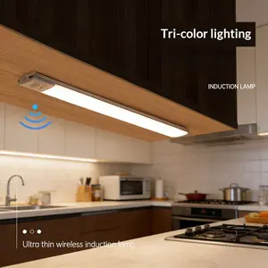 Rechargeable LED Under Cabinet Lights8 Inches Rechargeable Motion Sensor Light Indoor 3 Color Dimmable Closet Light Battery Operated USB Stick on LED Magnetic Under Counter Lights for Kitchen Stair 2 Packs