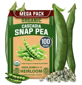 Homegrown Organic Cascadia Snap Pea Seeds - 100 Non-GMO Heirloom Seeds for Cool Season Container Gardening - USDA Certified, Sweet Flavor, Fast Germination, No Trellis Needed, Sustainable & Eco-Friendly