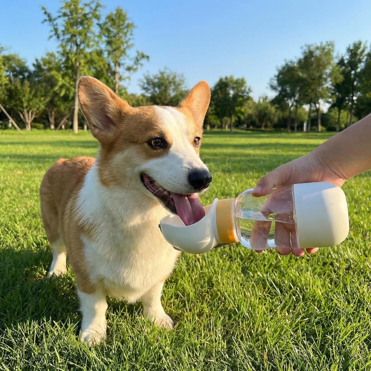 Portable Dog Water Bottle With Food Container Leak Proof Pet Water Dispenser Travel Puppy Bowl Dog Poop Bags For Outdoor Walking Hiking Camping All In One Pet Feeding Tool