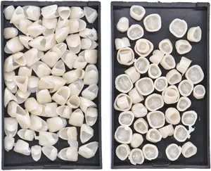 2 Box Dental Temporary Crown Veneers Tooth Cap Crown Veneers,for Front Back Tooth,Dental Supplies