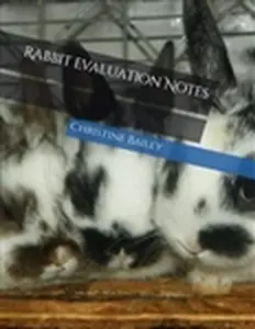 Rabbit Evaluation Notes - Christine Bailey