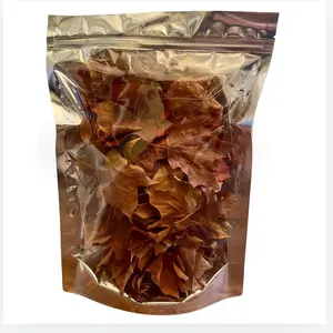 Sugar Maple Leaf Litter - 1 gallon pouch