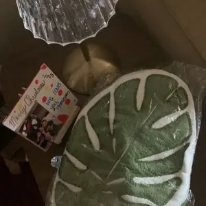 2PCS Monstera deliciosa hand towel, hanging coral fleece, heat-absorbing, plant-themed hand towel, kitchen towel, absorbent and lint-free.