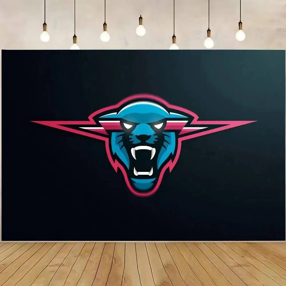 Mr-B-Beast Famous Content Creator Themed Rectangular Polyester Fiber Tapestry, 160in x 70in (400cm x 180cm) Synthetic Bright Print Backdrop, Lightweight Home Decor for Baby Shower Studio Portraits & Photocall Props, Engagement