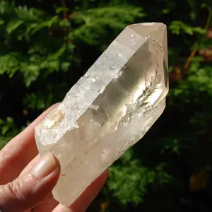 4.8" XL RARE Lightning Strike Golden Healer Lemurian Seed Crystal, Inner Child Tantric Twin Starbrary, Brazil