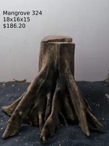 Mangrove Tree Stump 324