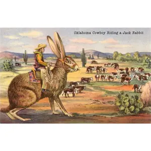 Cowboy Riding Giant Jackrabbit Postcard