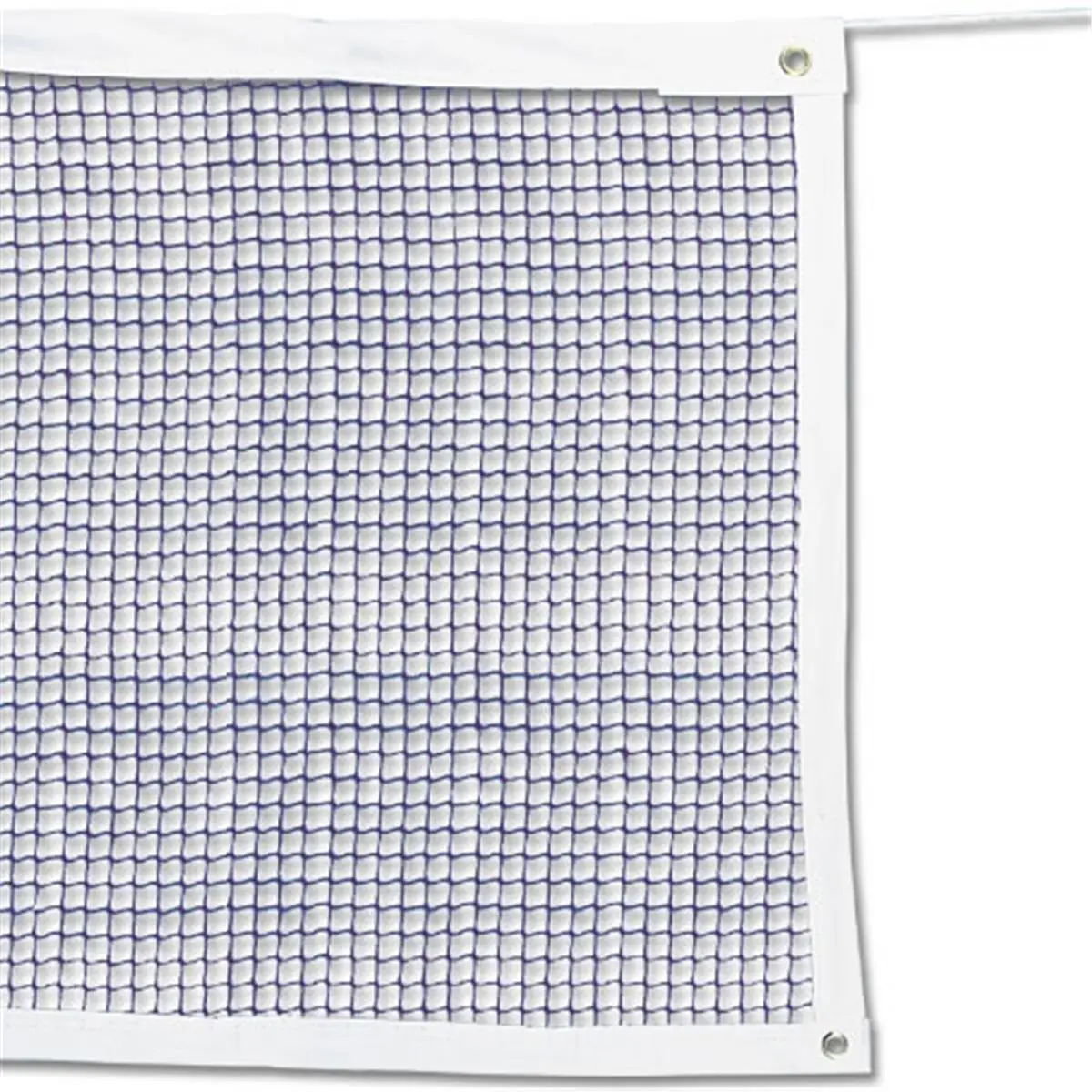 Sport Supply Group SNBMNCOL MacGregor Collegiate Badminton Net, Sports & Fitness Badminton Equipment