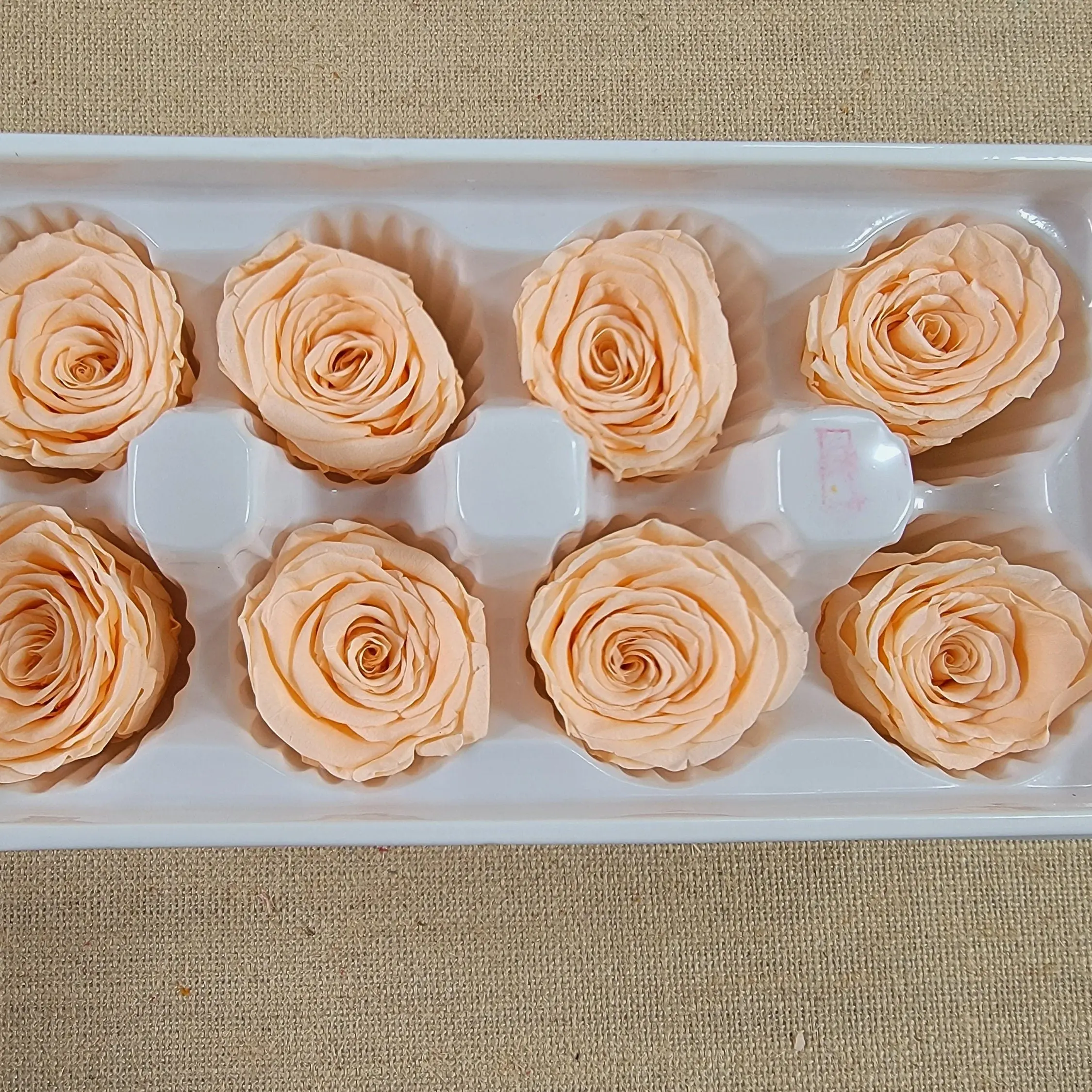 8Pcs Dried White Champagne Preserved Roses/Prom, Wedding Decor, Dry Roses, Home Decor & DIY Floral Arrangements -