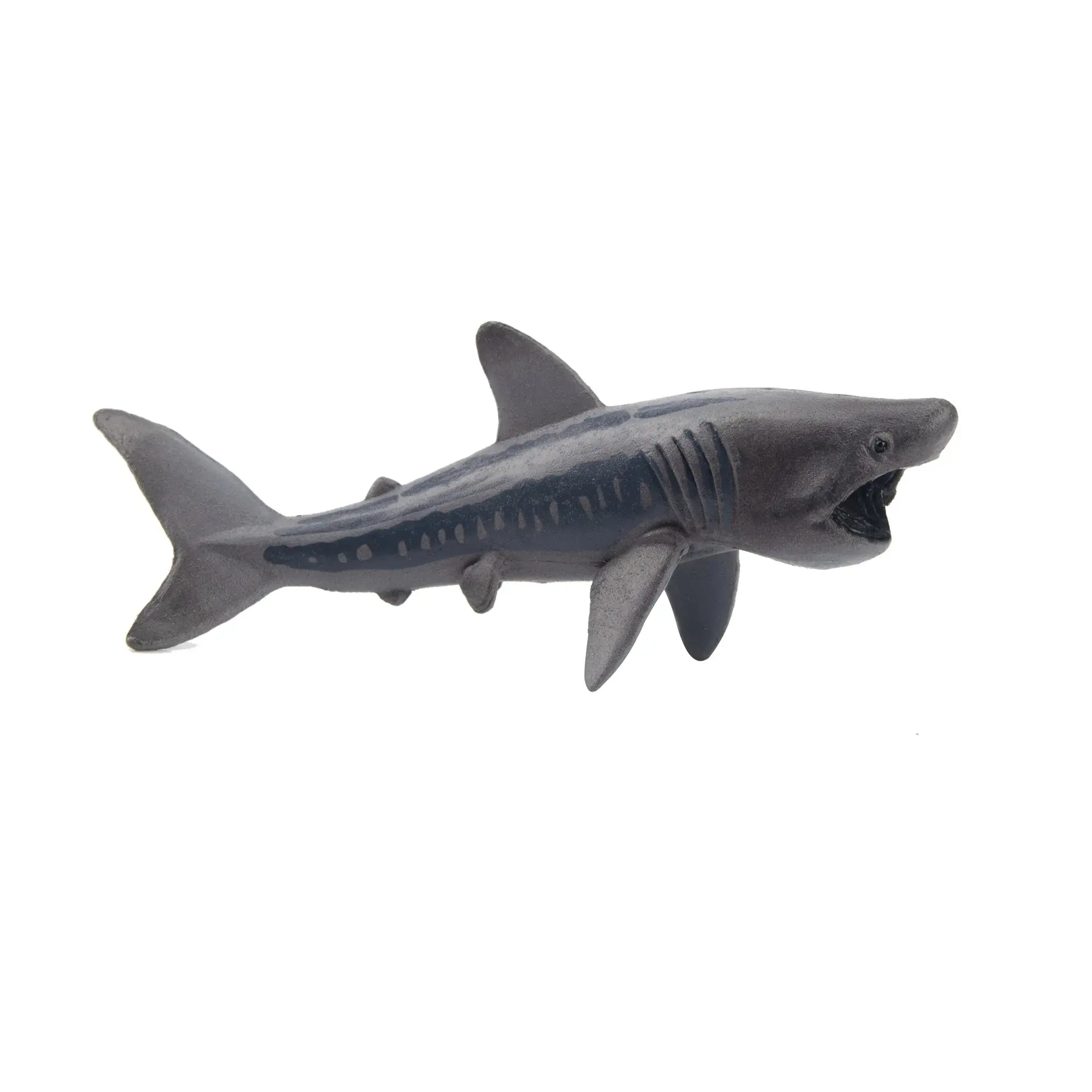Toymany Hand-Painted Mini Basking Shark Figurine – Realistic Marine Animal Model, Perfect for Early Education, Montessori Sensory Play, Cake & Party Decorations, Desk & Home Décor, Thoughtful Gifts, and Collectible Figurine