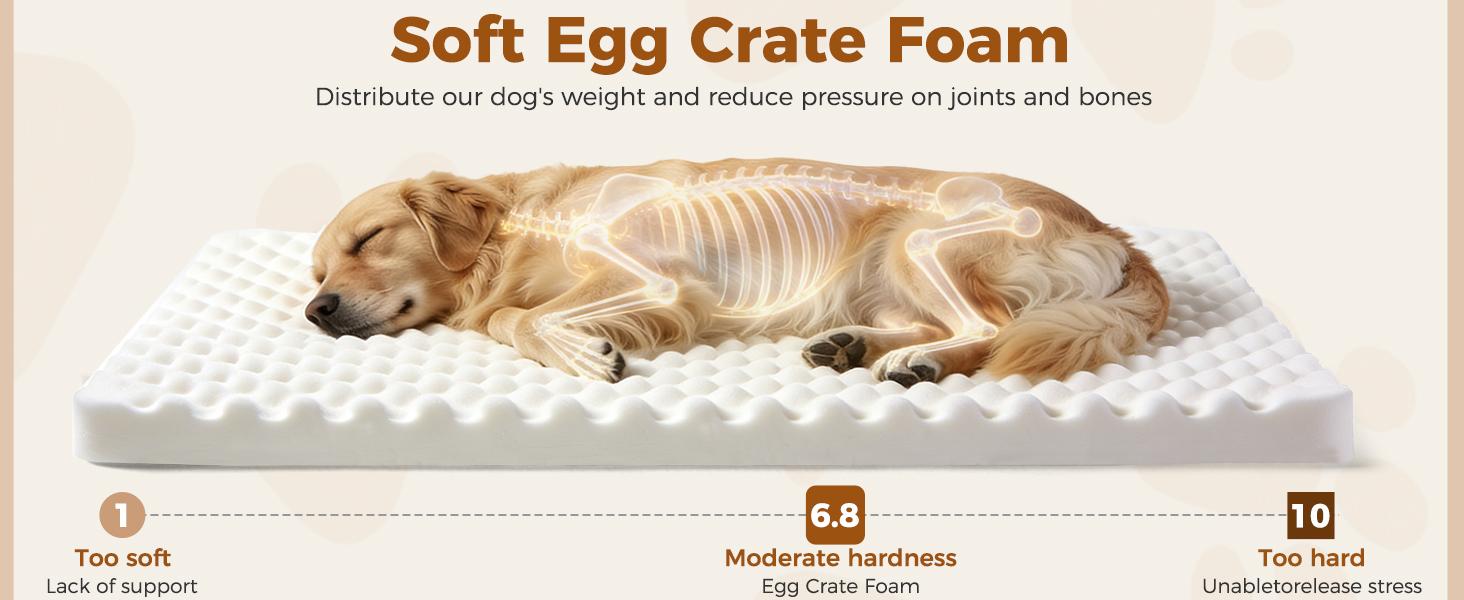 Lekereise Raised Outdoor Medium Dog Bed Cot + Orthopedic Indoor Dog Sofa Bed, 2-in-1 Design,39 x 29 Inch Cooling Elevated Puppy Bed with Egg-Crate Orthopedic Foam Load 70lbs Lekereise Raised Outdoor Medium Dog Bed Cot + Orthopedic Indoor Dog Sofa Bed, 2-in-1 Design,39 x 29 Inch Cooling Elevated Puppy Bed with Egg-Crate Orthopedic Foam Load 70lbs