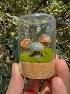 Large Mushie Terrarium
