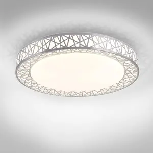 20 Inch LED Flush Mount Ceiling Light Fixture for Bedroom, 42W 2474LM 5CCT 2700K-5000K, Triac Dimmable Lights, Dining, Living Room, Kitchen Lamps, Modern Home Lighting Fixtures, Nickel, ETL