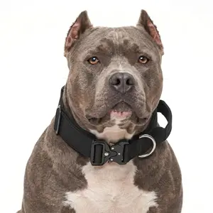 Heavy Duty Tactical Dog Collar with Control Handle - Adjustable Anti-Pull K9 Training Gear for Medium & Large Dogs
