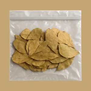 Mini Indian Almond Leaves 25 Pack Catappa Leaves for Betta Axolotl Fry Tetra Natural Water Conditioner Fish Tank Cleaner Aquarium