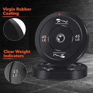 Pair of 10-lb/15-lb rubber weight plates – Durable, quiet, shock-absorbing plates for 2-inch bars – Ideal for strength training and home or gym fitness – Clear markings
