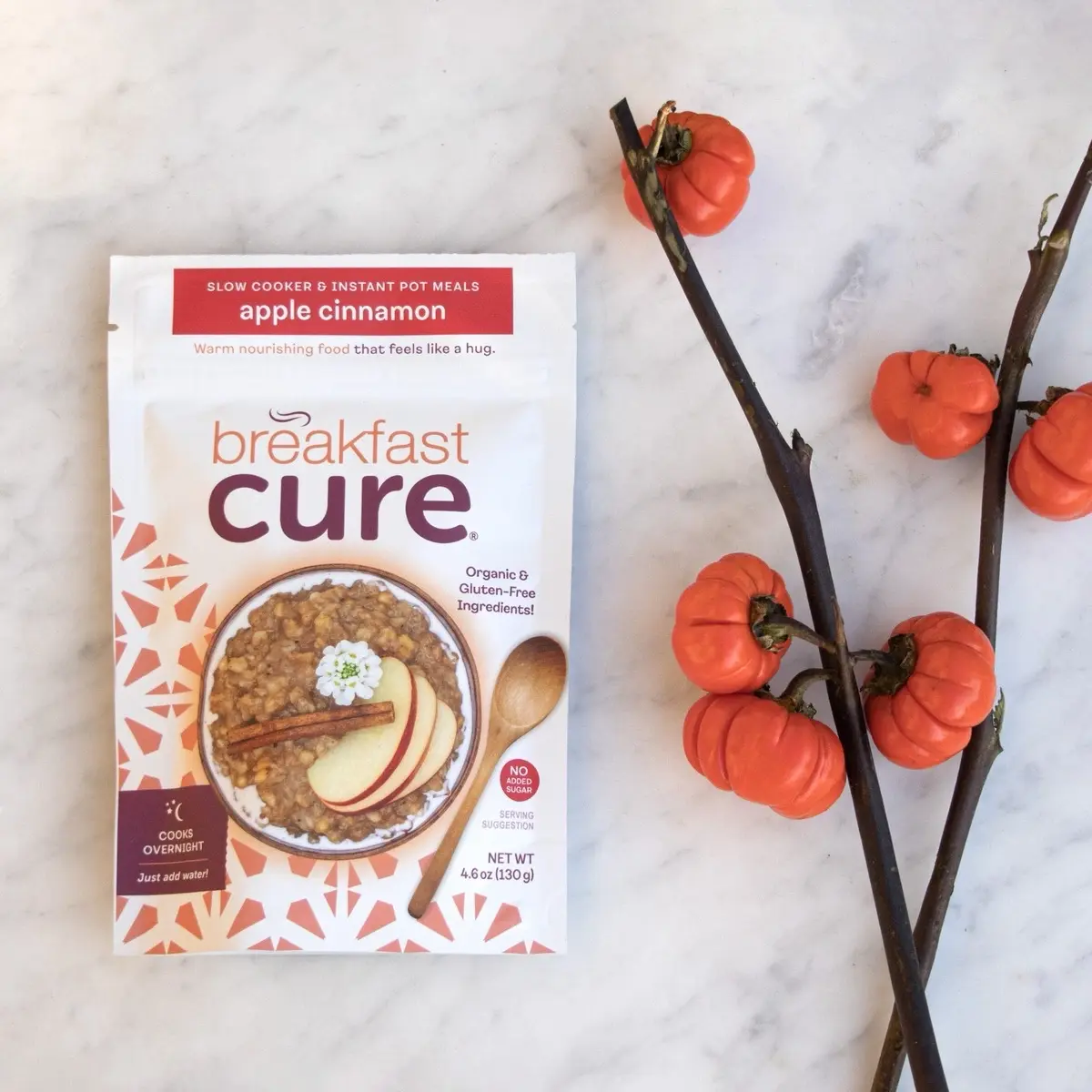 Breakfast Cure Apple Cinnamon-4 serving meal pack for slow-cooker, instant pot, and pressure cooker. Organic Sugar Free Low Fat Dairy Free Pack Fruity Natural Food Muesli