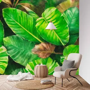 Banana Leaf Wall Murals, Large Tropical Leaf, Temporary Wallpaper, Peel and Stick Wallpaper