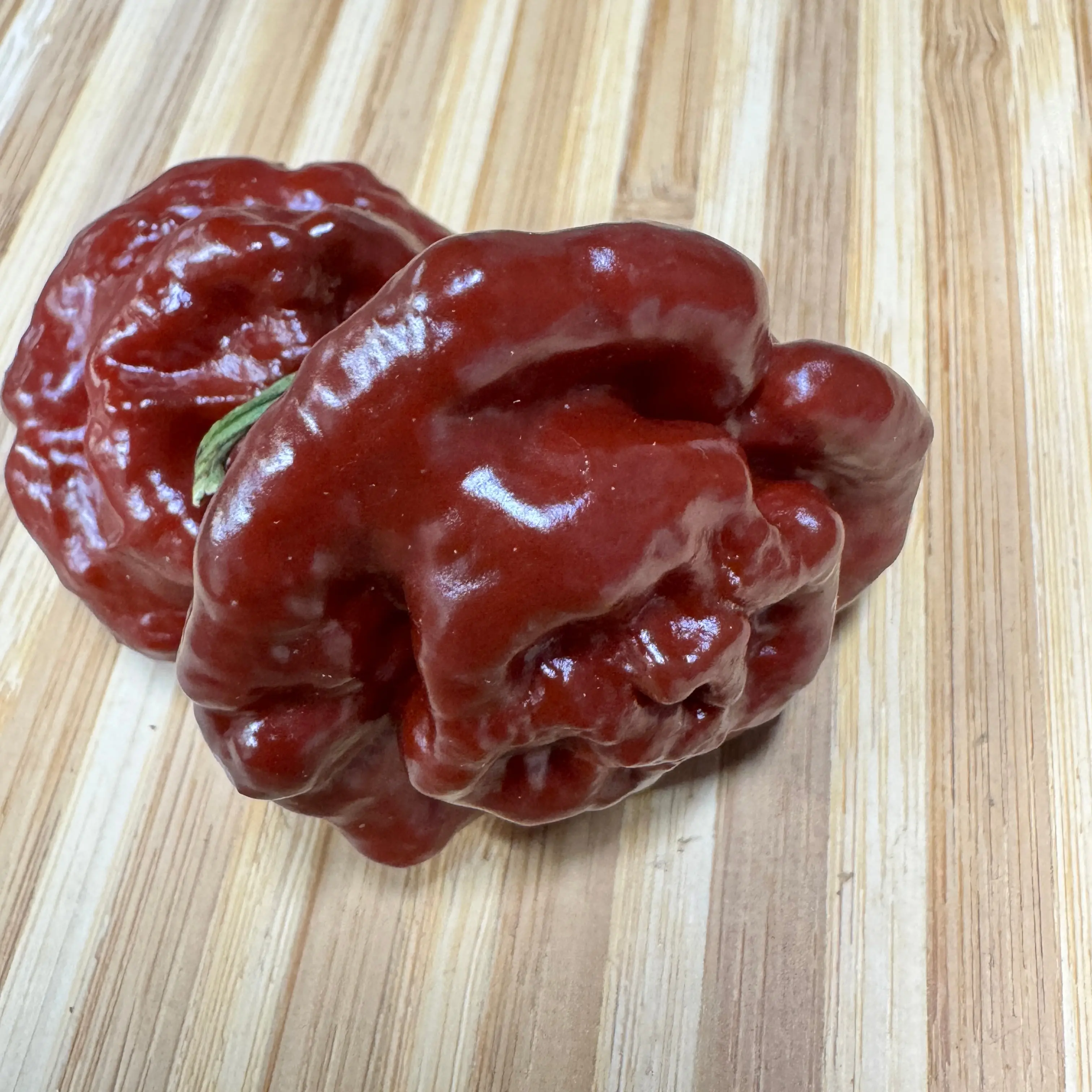 MOA Scotch Bonnet Chocolate - Seeds