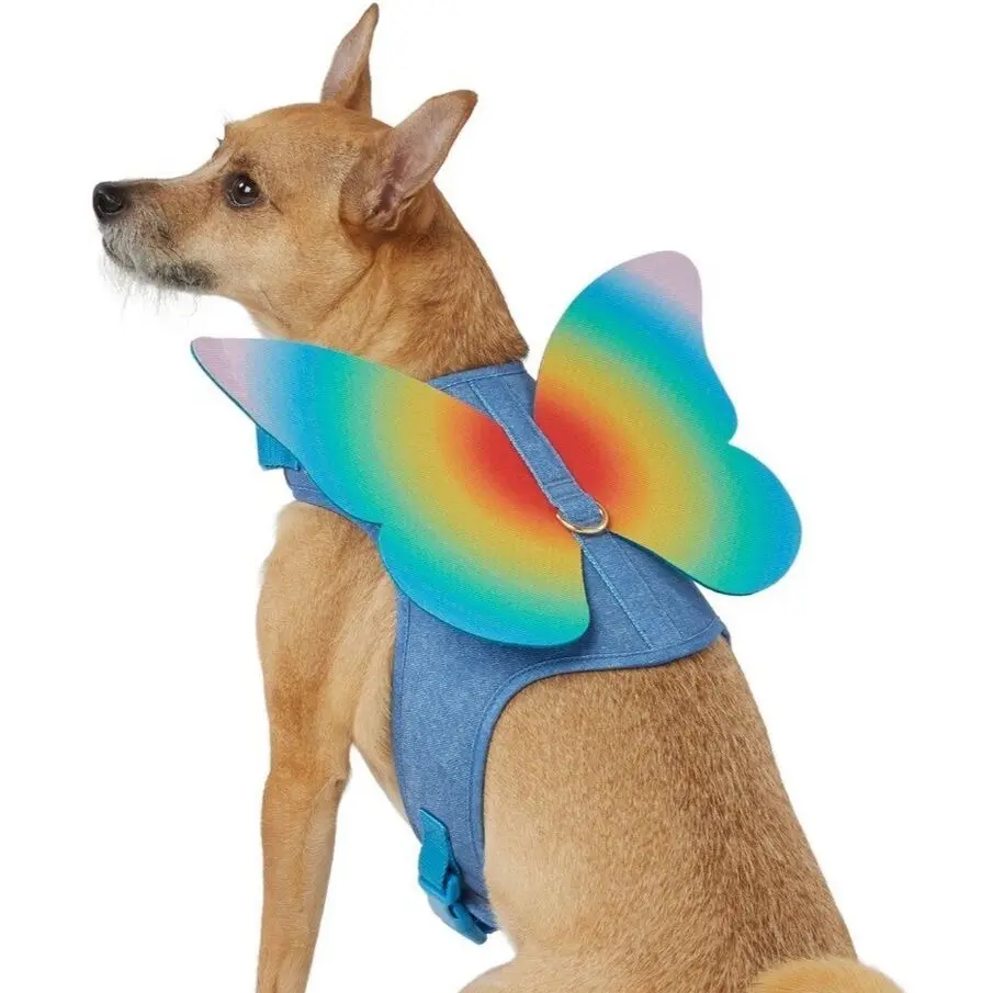 YOU ARE LOVED Pride Butterfly Nylon XS Dog Costume Harness Wings Rainbow ( Not Denim )