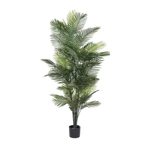 Vickerman 72" Robellini Palm Tree