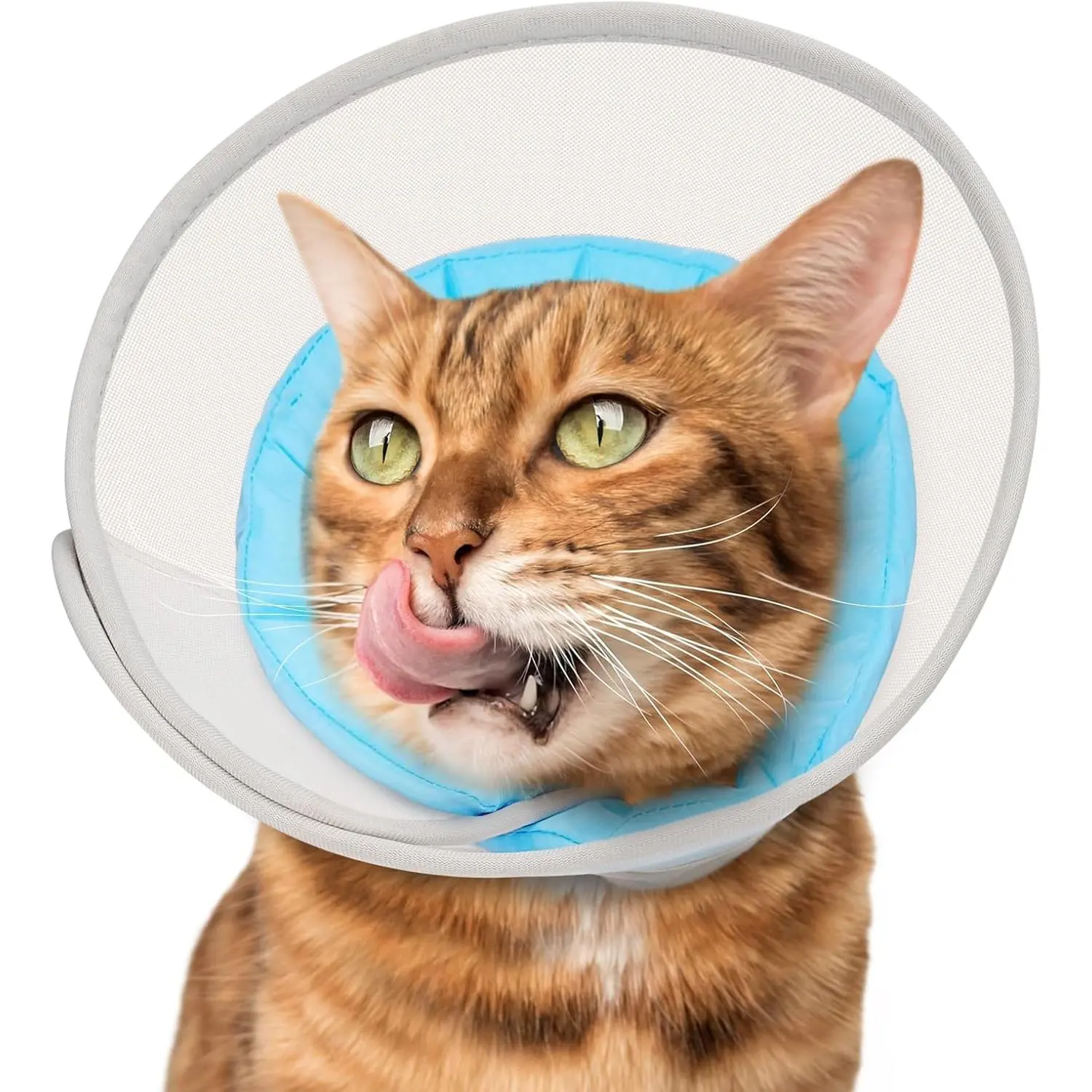 Soft Cat Collar: Comfortable, waterproof, mesh post-surgery recovery collar, prevents licking and scratching, a substitute for plastic collars
