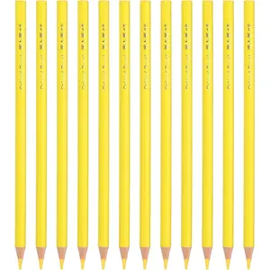 Lemon Yellow Colored Pencils Set,12 Pcs Oil Color Pencils Wooden Coloring Drawing Pencil for Artists Art Painting