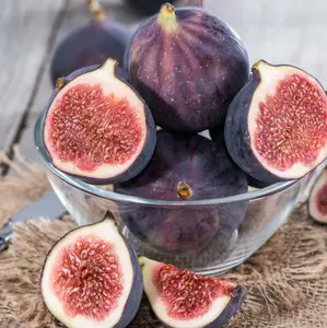 Fignominal Fig Tree Live for Planting, Ficus Carica Tree for The Patio and Garden 4 to 6 Inch Tall