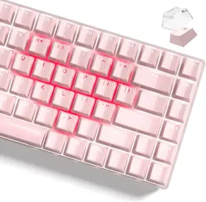Womier Jelly Keycaps , Crystal Shine Through Custom Cute Key caps Set, 118 Keys OEM Profile for 61/68/84/87/98/100 Cherry Gateron MX Mechanical Keyboard