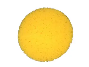 Fun Cheese Sponge