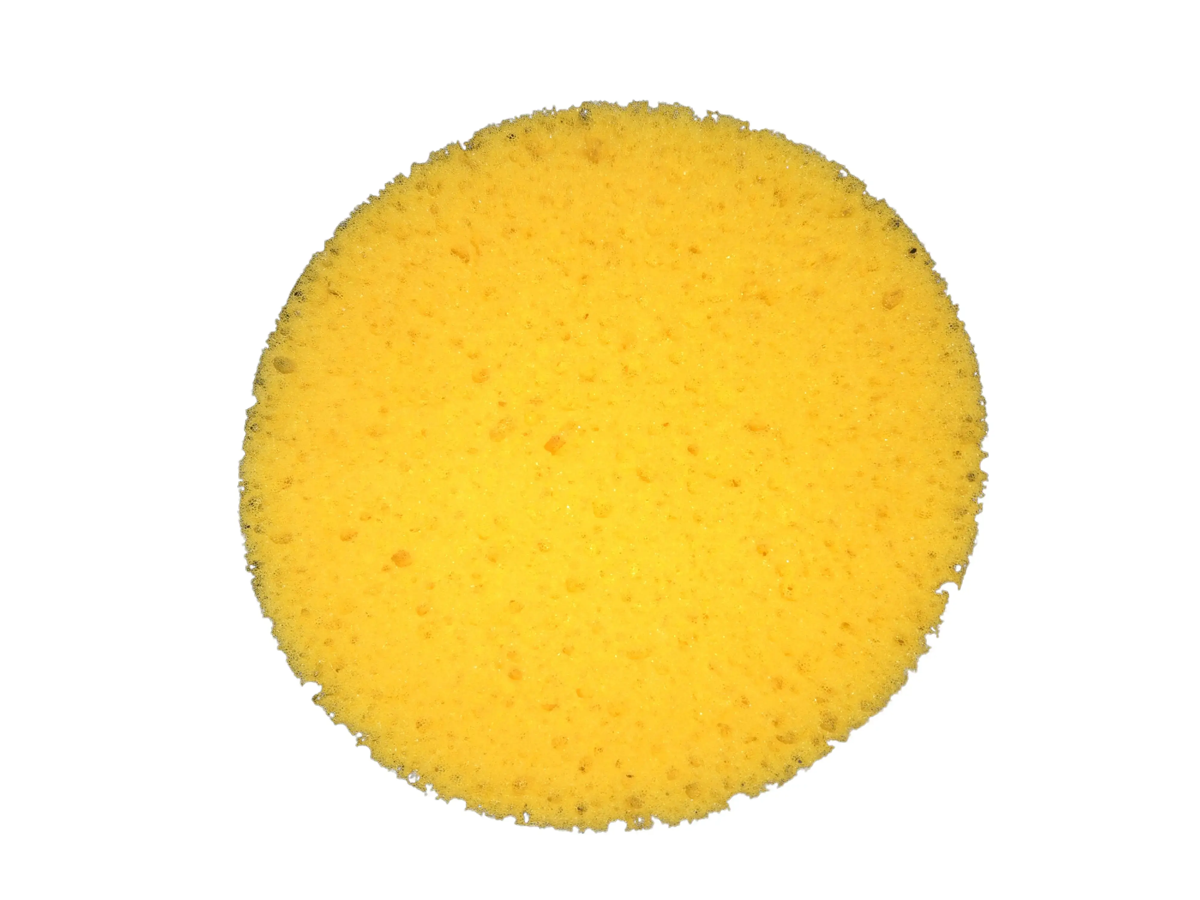 Fun Cheese Sponge