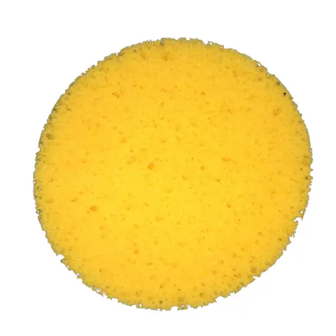 Fun Cheese Sponge