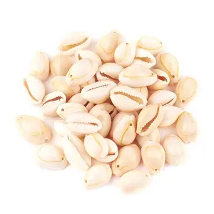50pcs White Natural Spiral Shell Beads, Cowrie Shells, Spacer Beads for DIY Earring Necklace