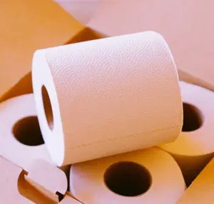 PlantPaper 16 Non-Toxic Toilet Paper Rolls + 4 Boxes of Facial Tissues For Everyday Use
