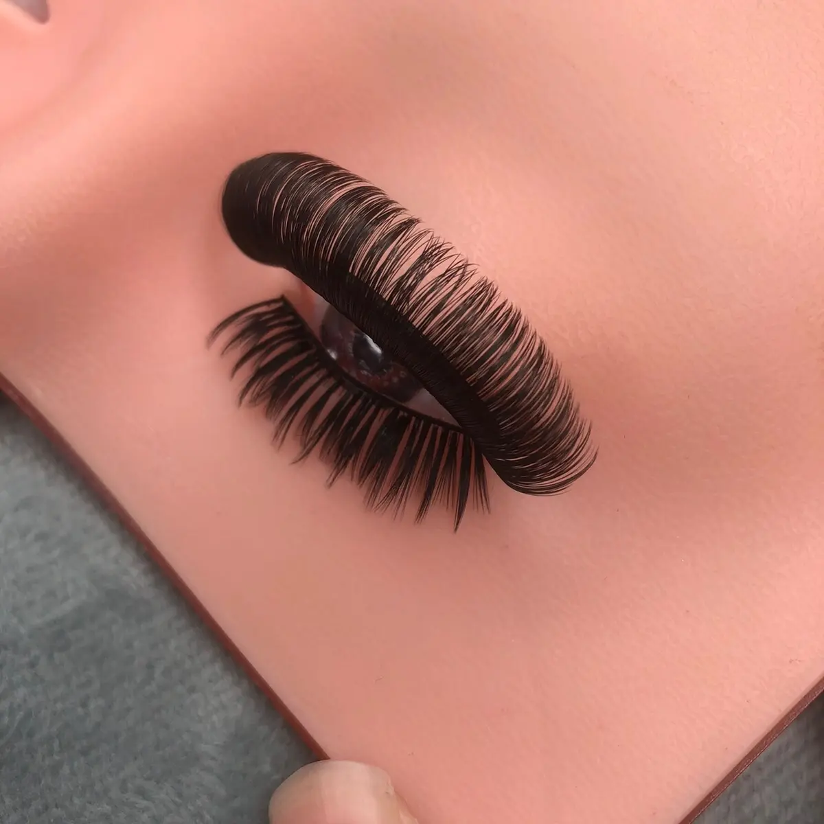 D Curl Lashes looks like lash extensions!