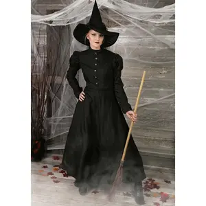 Deluxe Wicked Witch Costume