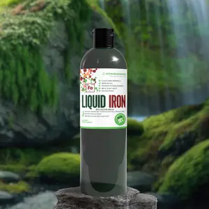 Liquid Ionic Iron | 16 oz | 96 Servings | +/- 20 PPM – Fast Absorption Mineral Supplement – Boosts Immune System & Energy, Supports Cognitive Function , Digestive Health & Healthy Blood Pressure – Vegan, Non-GMO, Gluten-Free, – Daily Wellness Supplement -